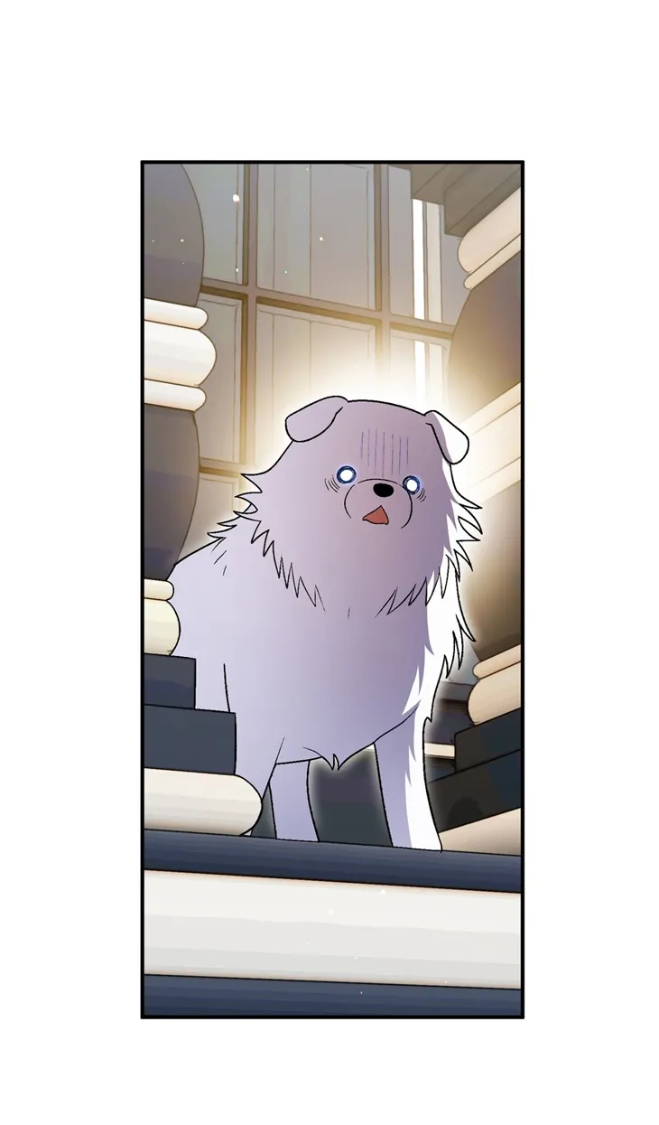 55 A Mi Querido Lobo