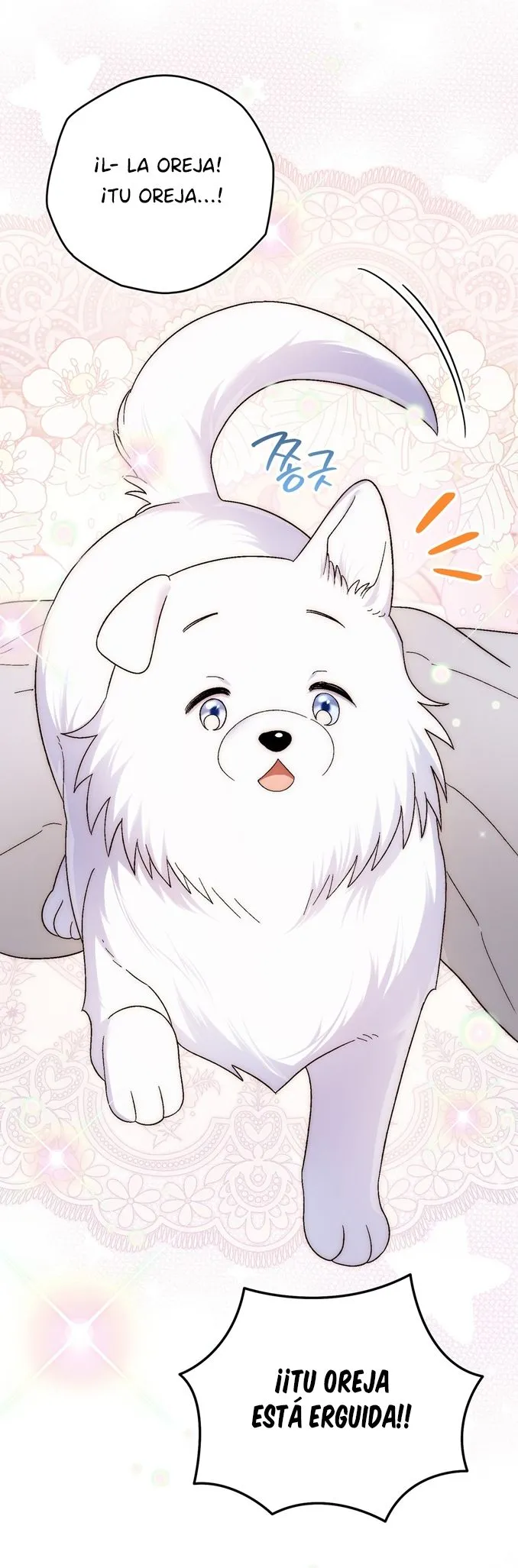 29 A Mi Querido Lobo