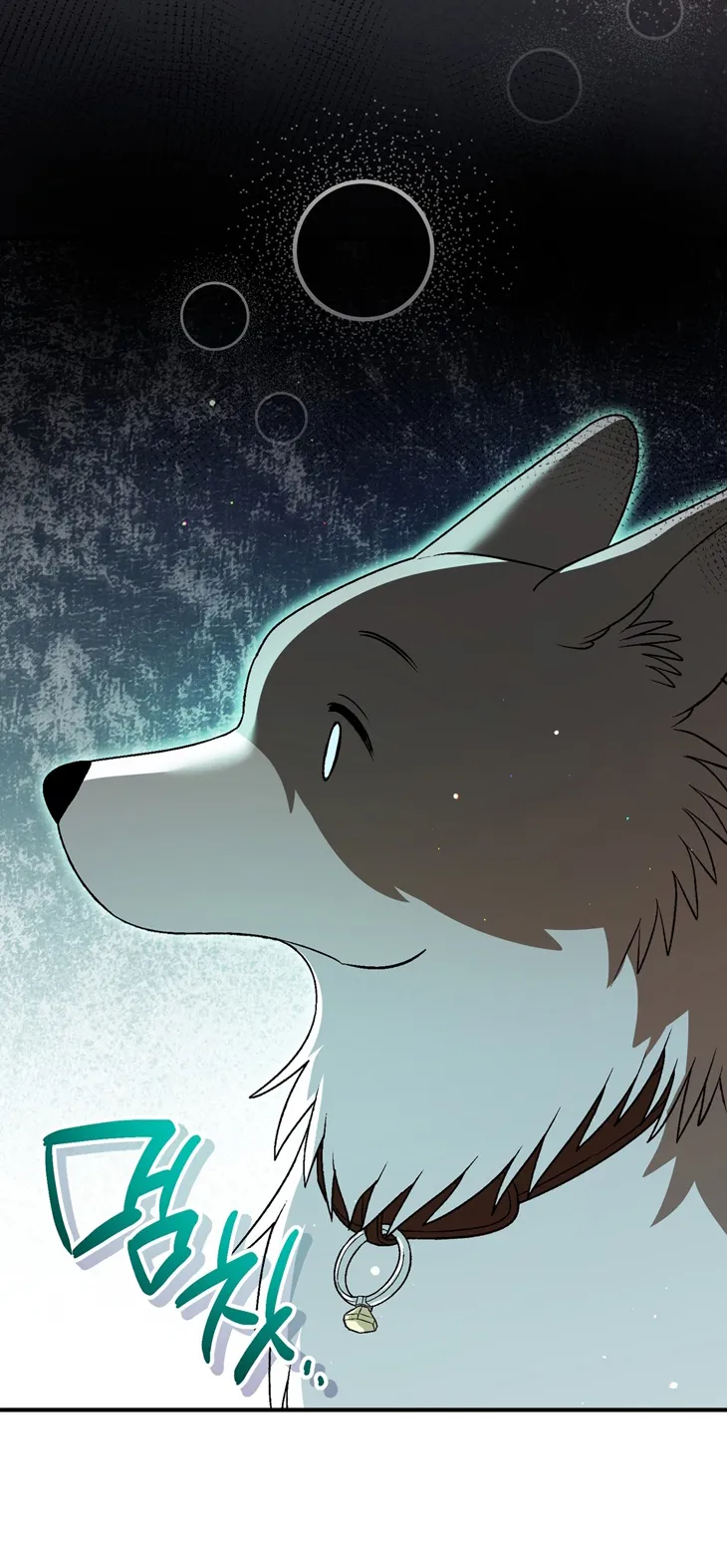 64 A Mi Querido Lobo