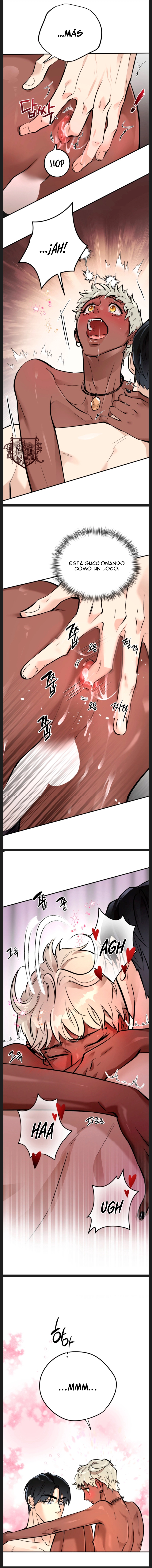 15 Panadería: Tentaciones recién horneadas