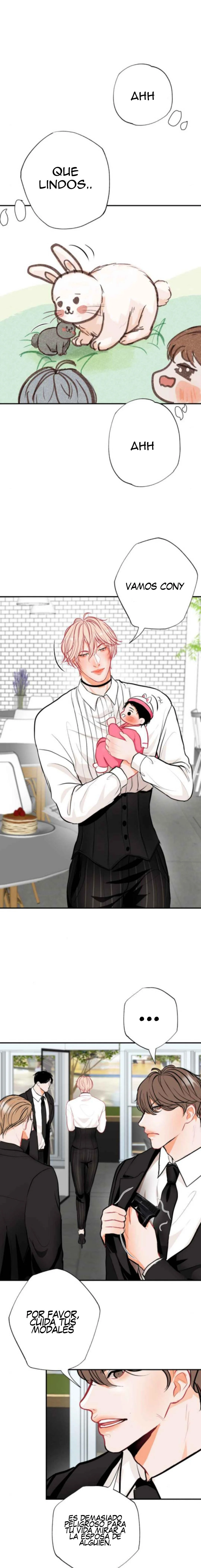 12 Baby Omega