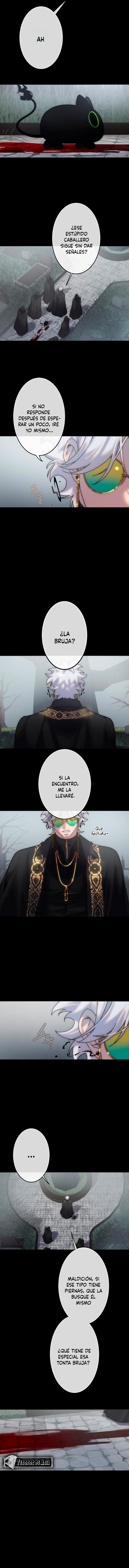 6 Los Tesoros de la Bruja