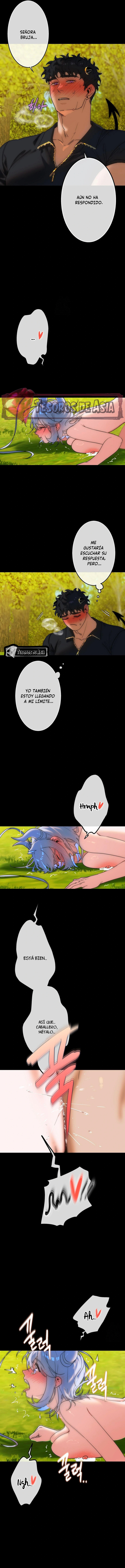 8 Los Tesoros de la Bruja