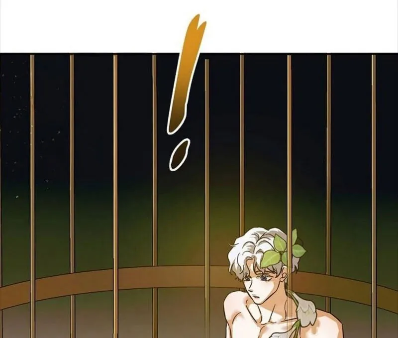 100 Mi pequeño hada