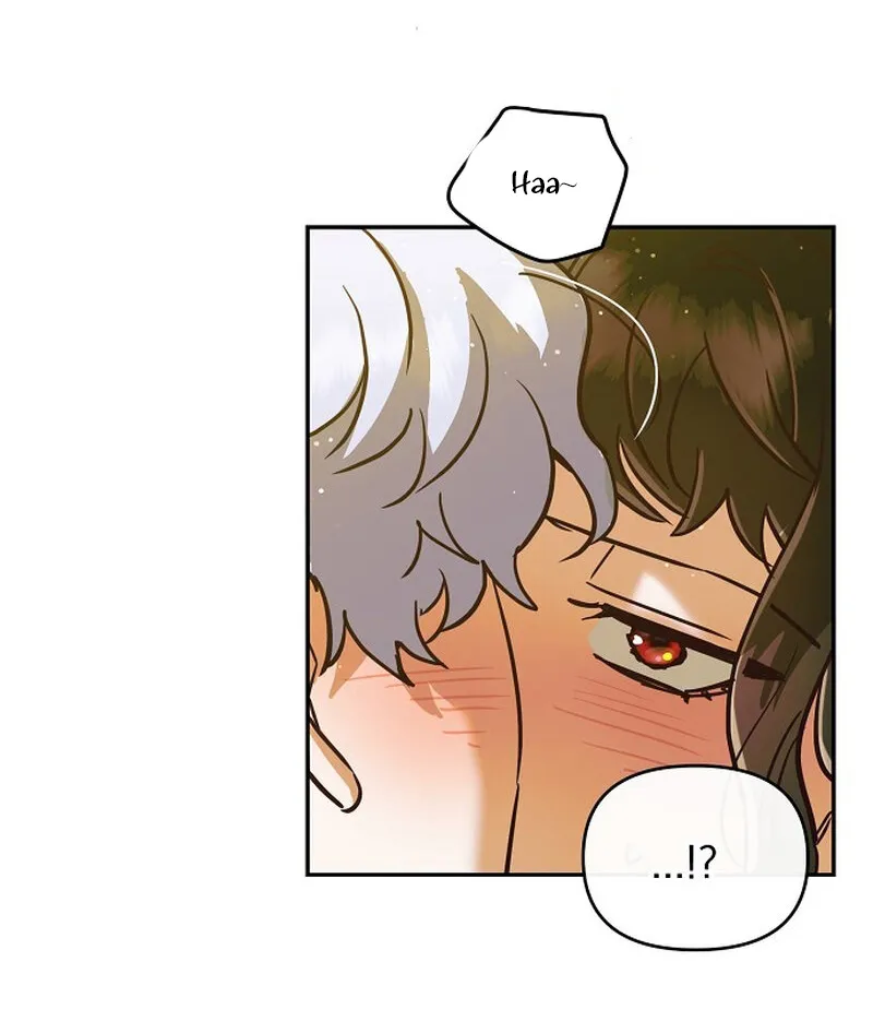 101 Mi pequeño hada