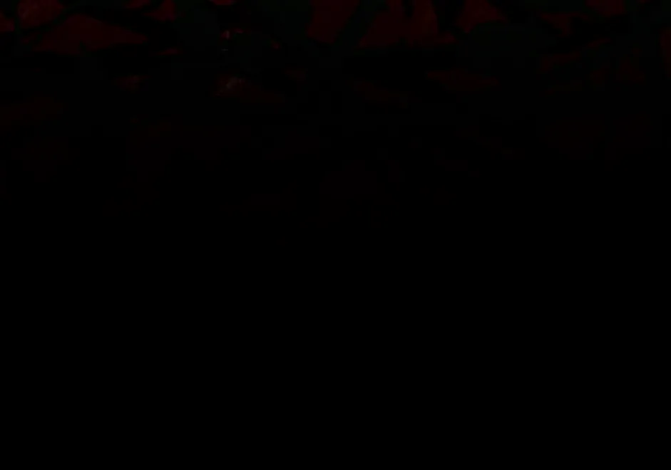 12 Por un final feliz perfecto