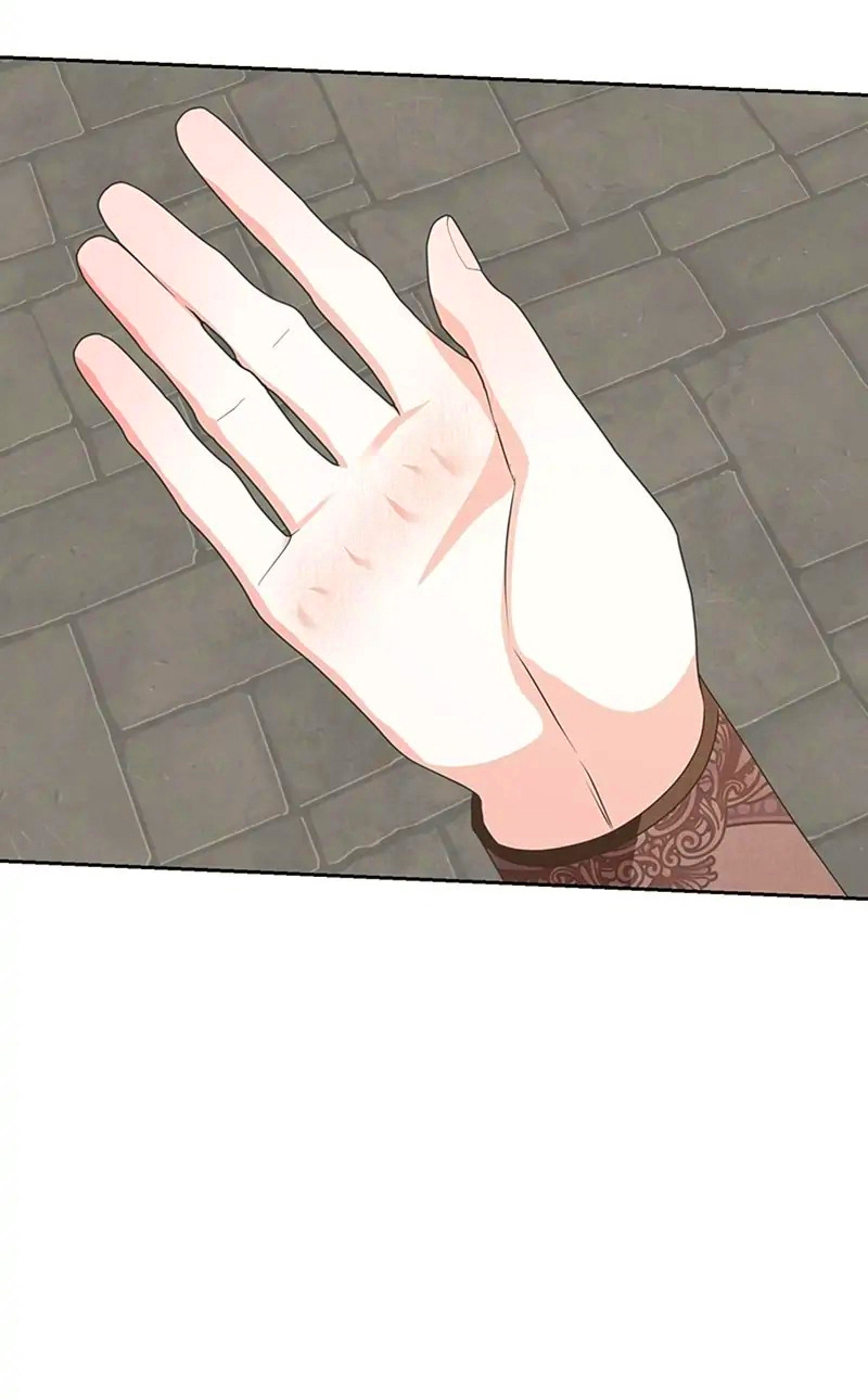 41 Renacida en un personaje que nunca existio