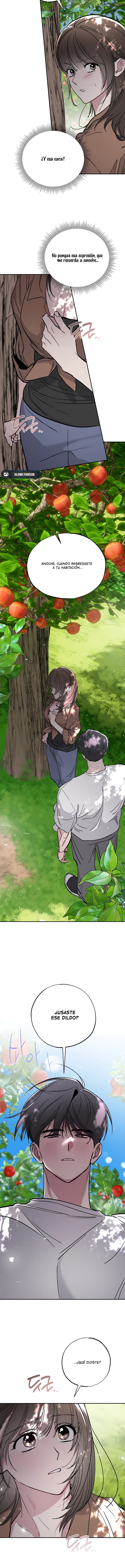 12 Secretos del Huerto