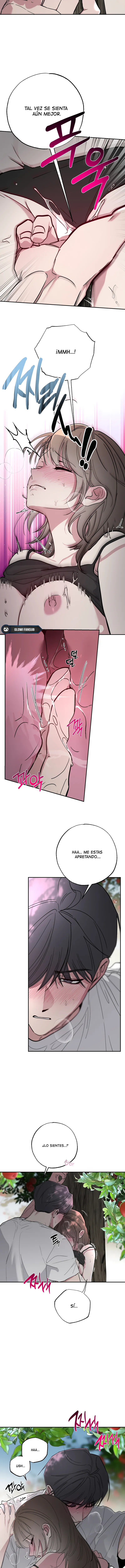 10 Secretos del Huerto