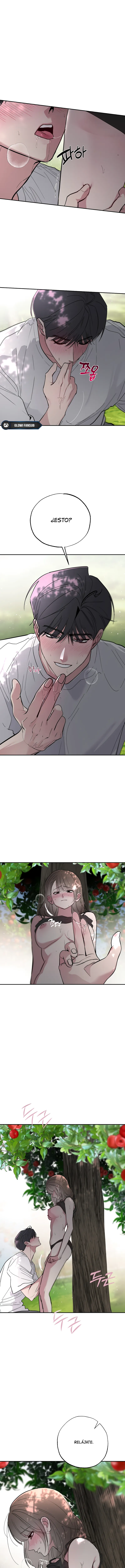 7 Secretos del Huerto