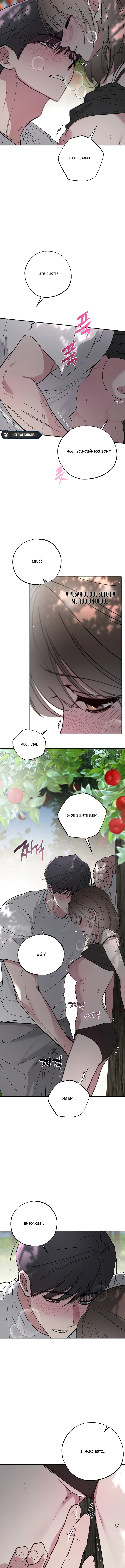 9 Secretos del Huerto