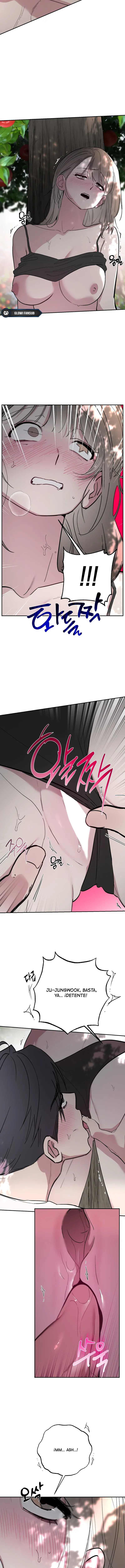 4 Secretos del Huerto