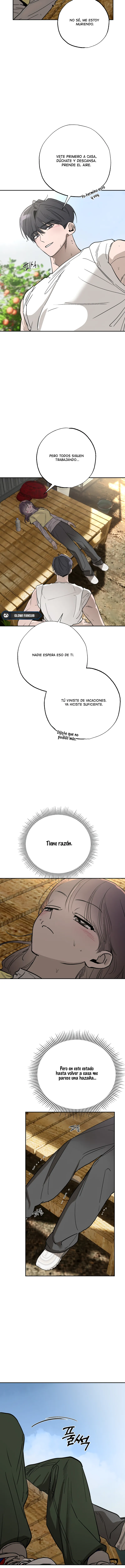 10 Secretos del Huerto