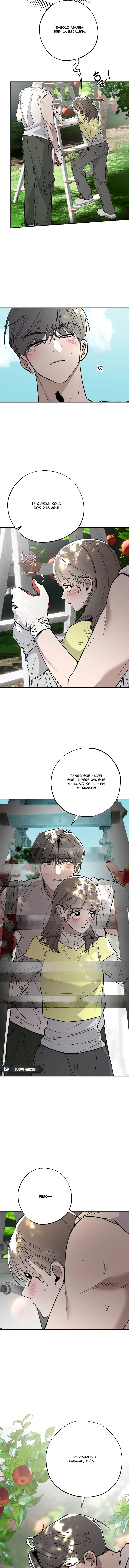 7 Secretos del Huerto