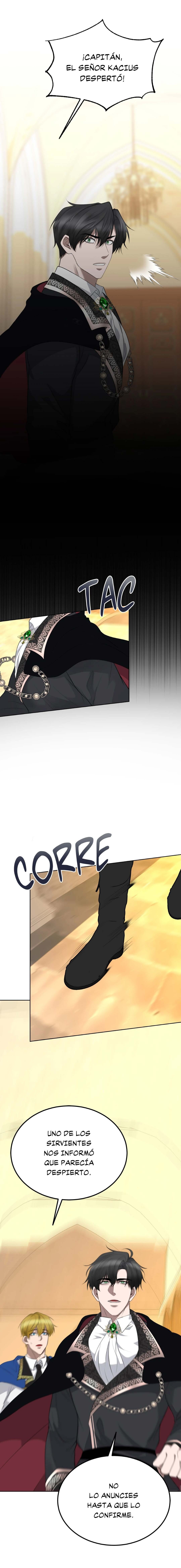 6 Escarcha de cristal