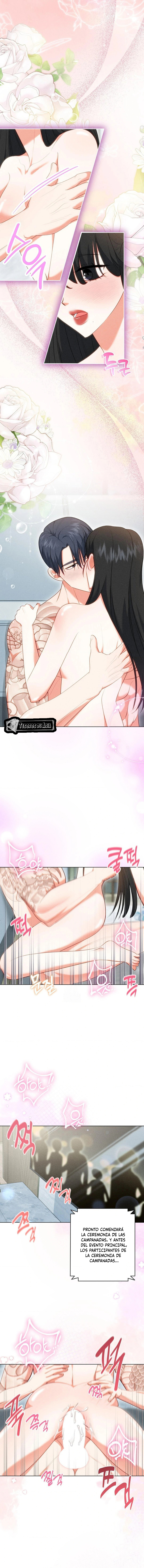 6 Me Equivoqué de Novio