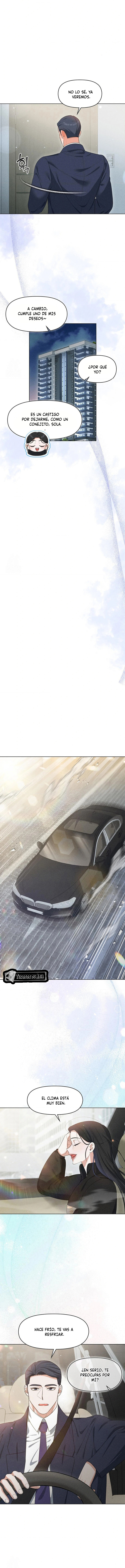 11 Me Equivoqué de Novio