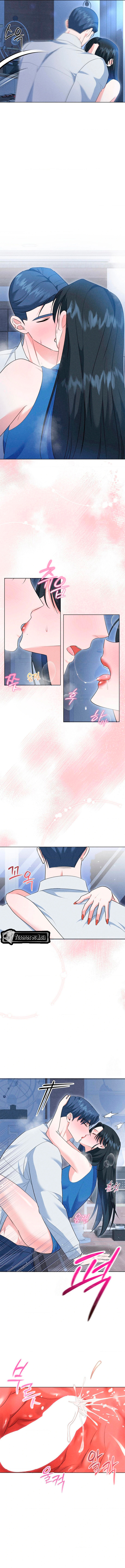 11 Me Equivoqué de Novio