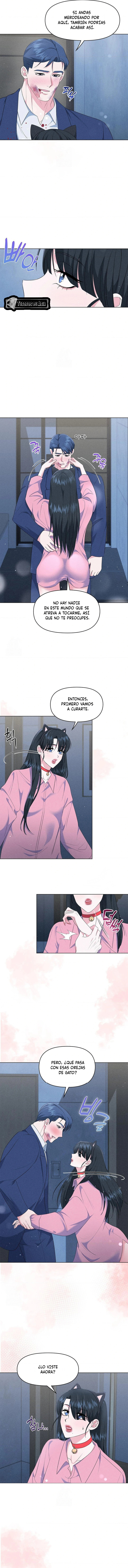 6 Me Equivoqué de Novio