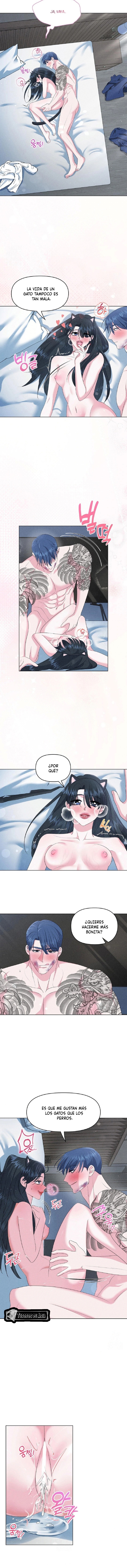 4 Me Equivoqué de Novio