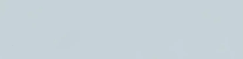 38 El hashtag es: El primer amor.