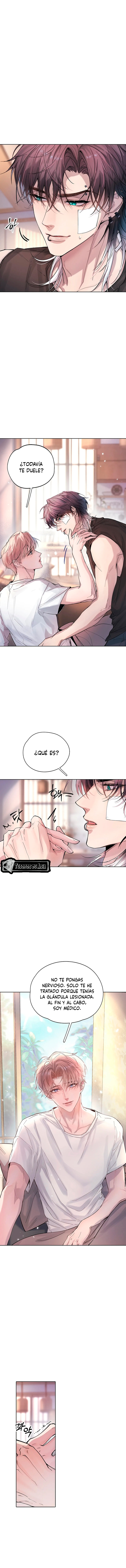 9 El Reflejo de la Traición