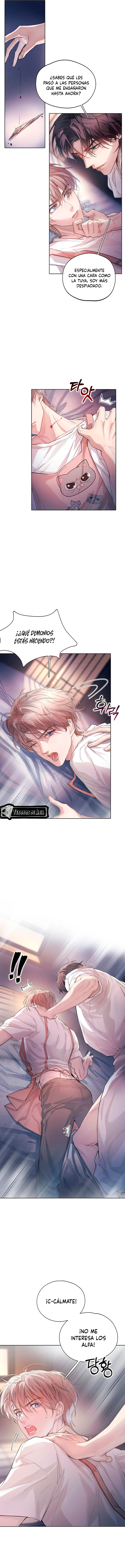 6 El Reflejo de la Traición