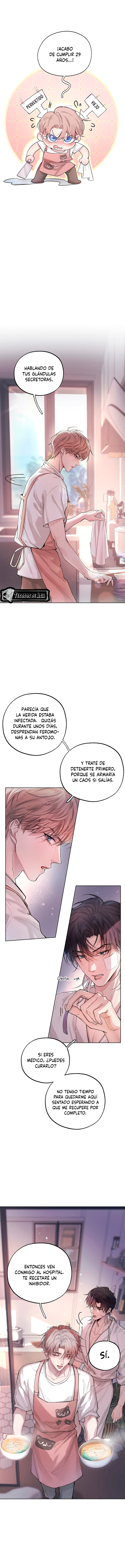 11 El Reflejo de la Traición