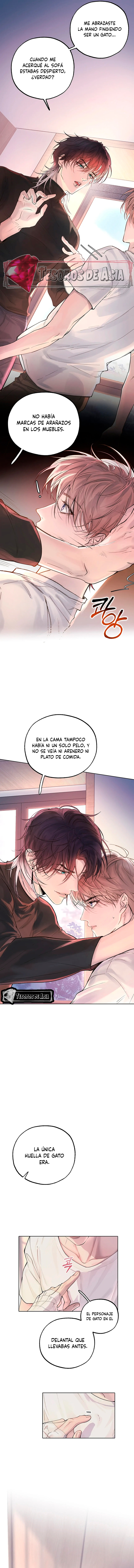 4 El Reflejo de la Traición