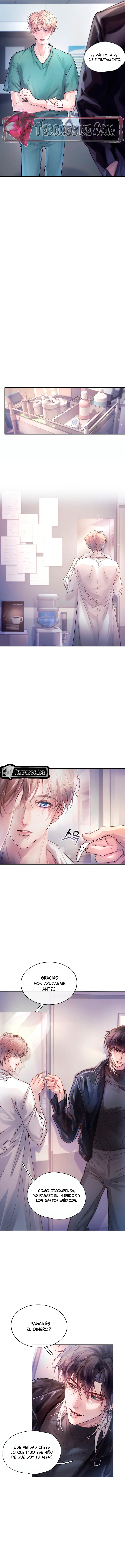 8 El Reflejo de la Traición