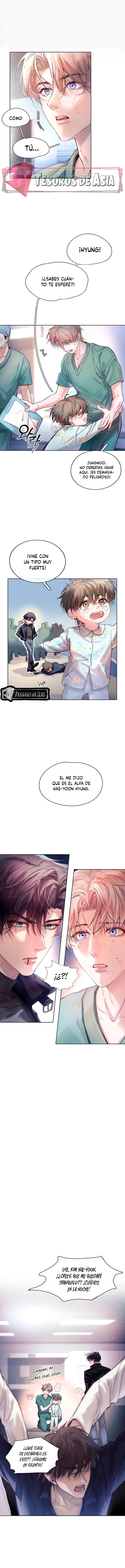 4 El Reflejo de la Traición