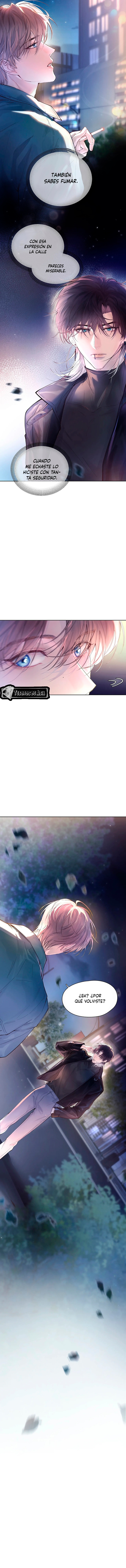 5 El Reflejo de la Traición