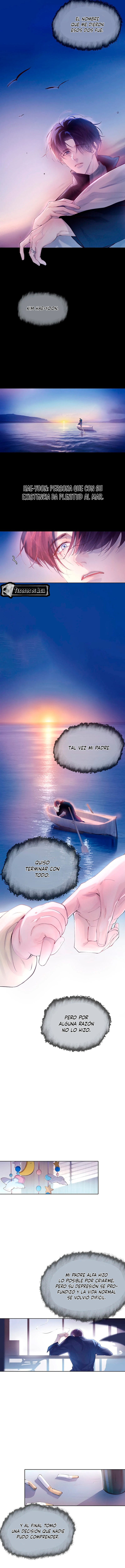 6 El Reflejo de la Traición