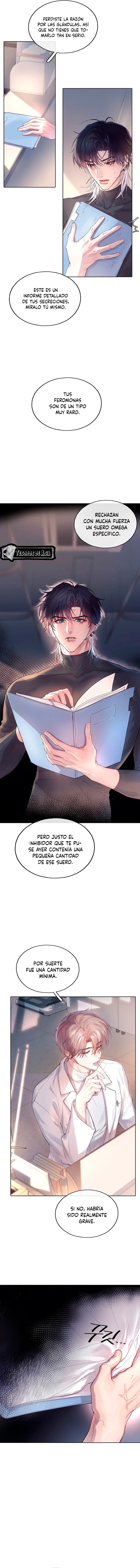 5 El Reflejo de la Traición