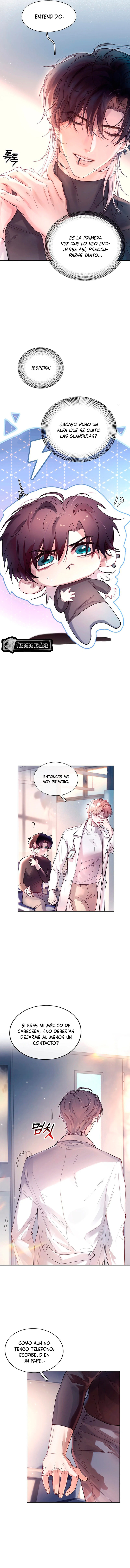 5 El Reflejo de la Traición