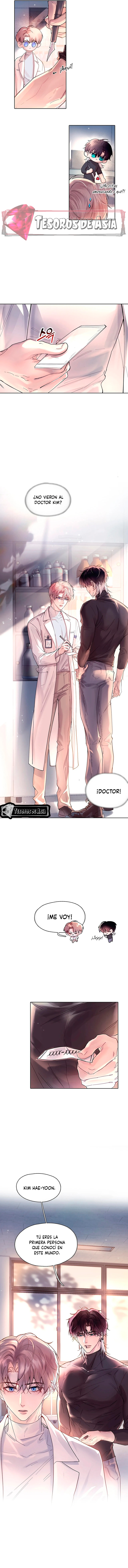 8 El Reflejo de la Traición