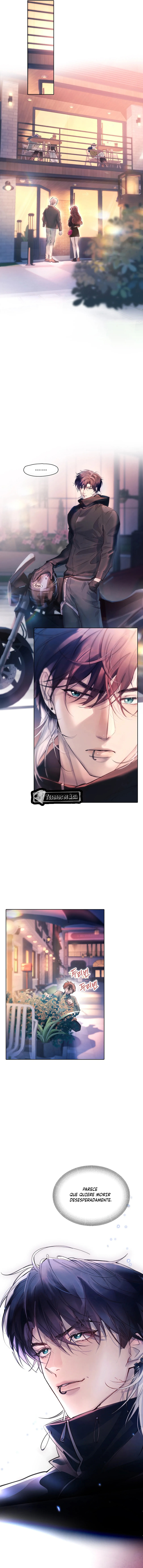 3 El Reflejo de la Traición