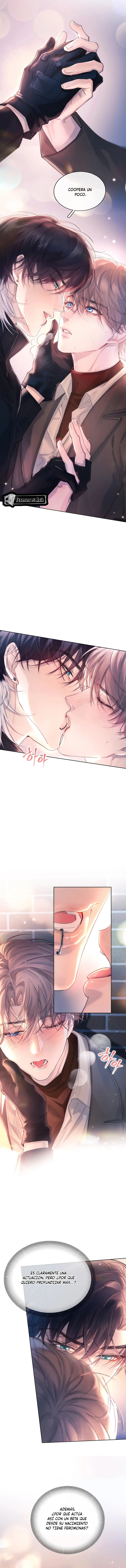 5 El Reflejo de la Traición