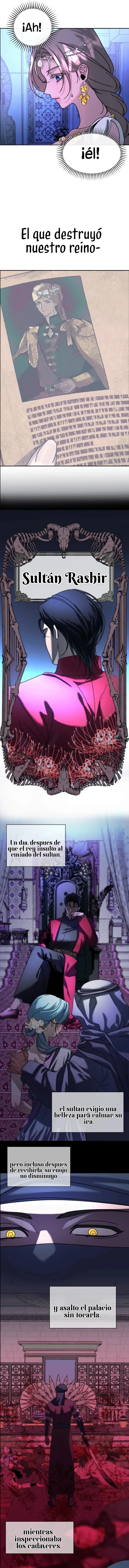 9 Me Convertí en el botín de Guerra del Sultán
