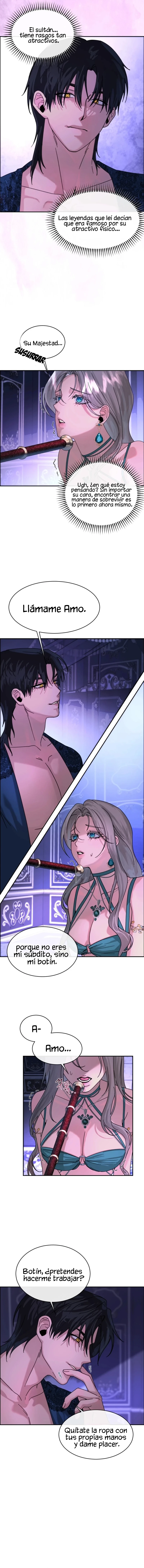 5 Me Convertí en el botín de Guerra del Sultán