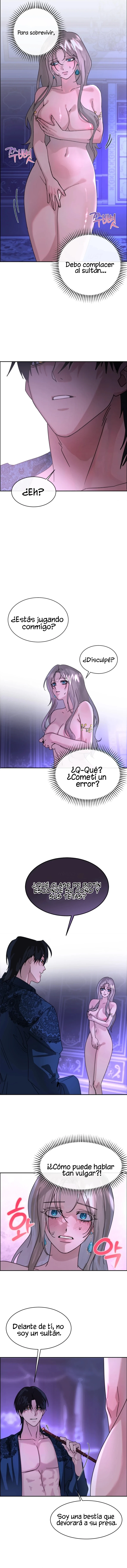 7 Me Convertí en el botín de Guerra del Sultán