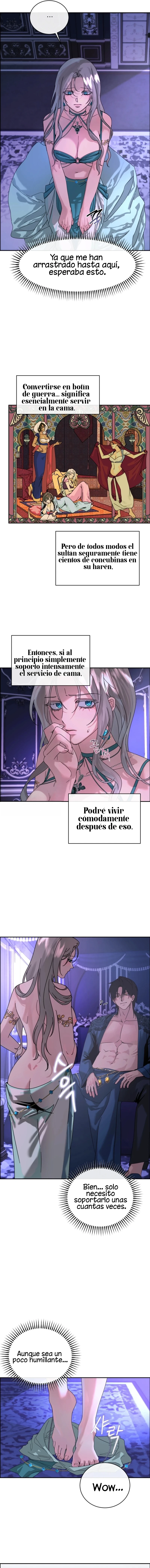 6 Me Convertí en el botín de Guerra del Sultán