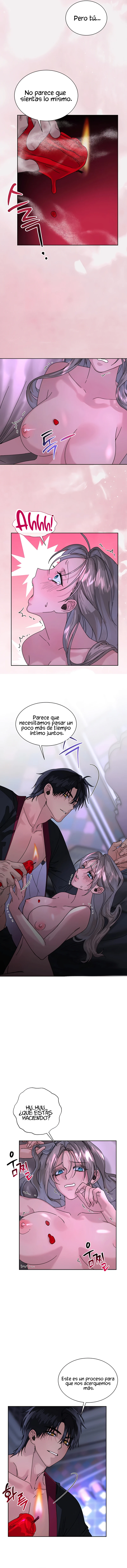 9 Me Convertí en el botín de Guerra del Sultán