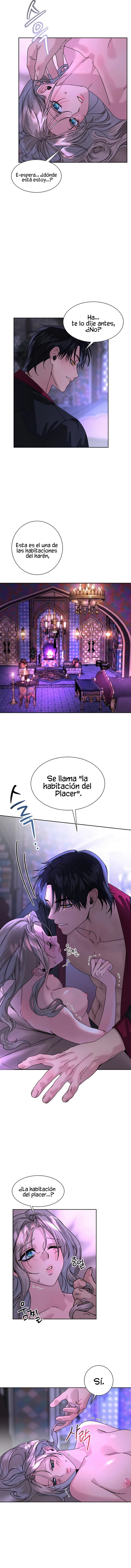 7 Me Convertí en el botín de Guerra del Sultán