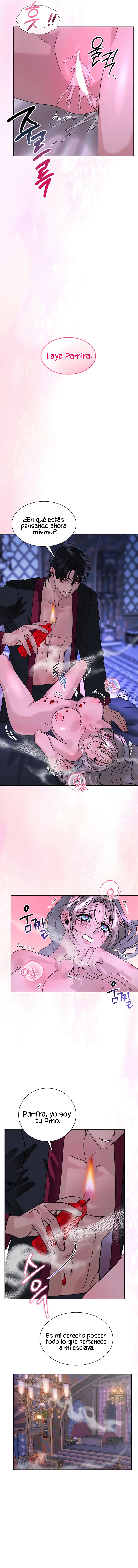 12 Me Convertí en el botín de Guerra del Sultán