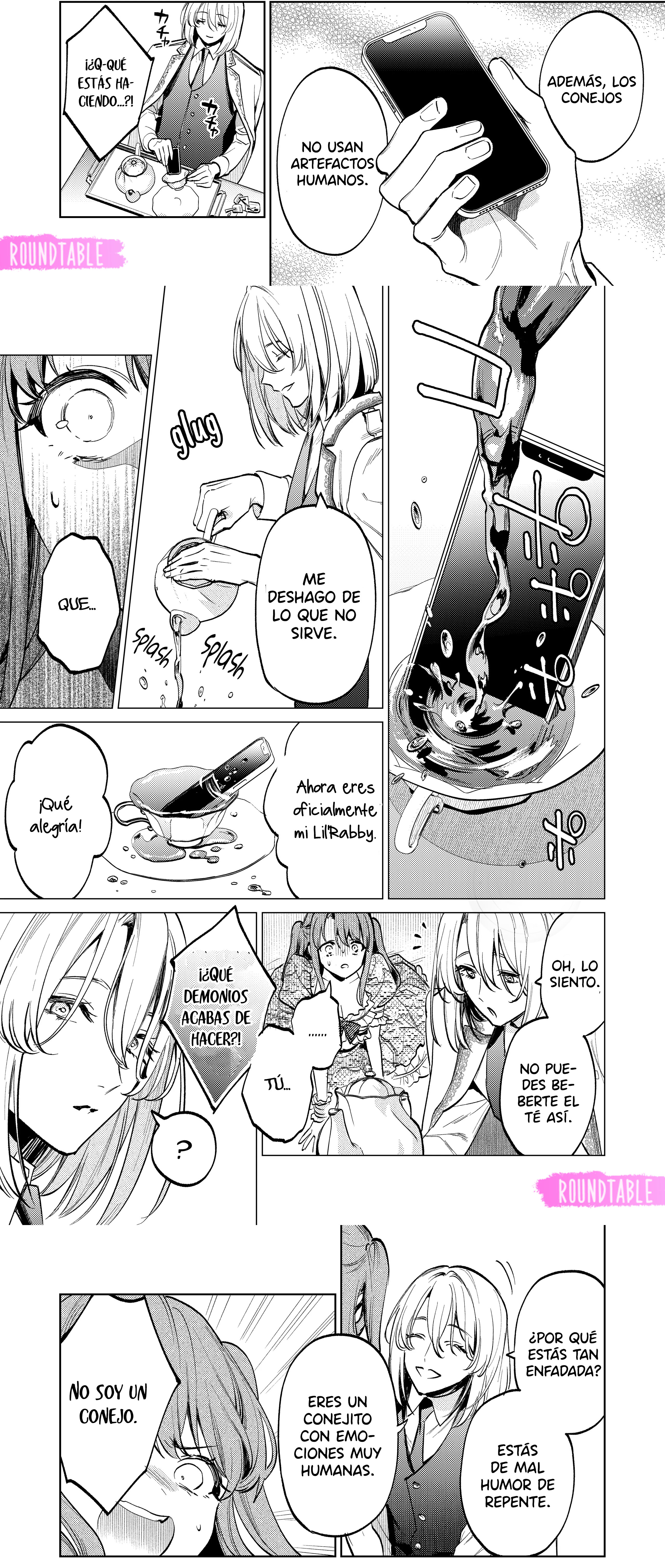 13 Mi DULCE conejita