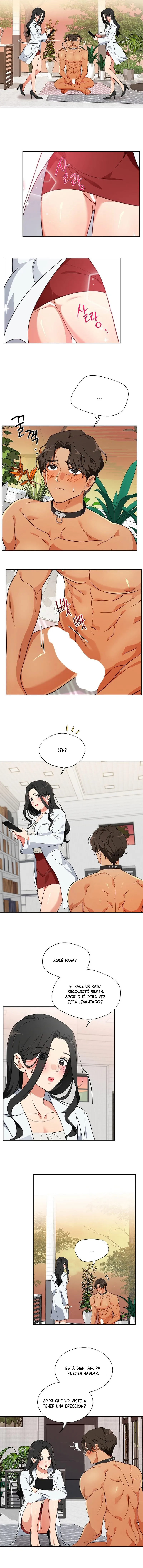 6 Los machos del cuarto de cría