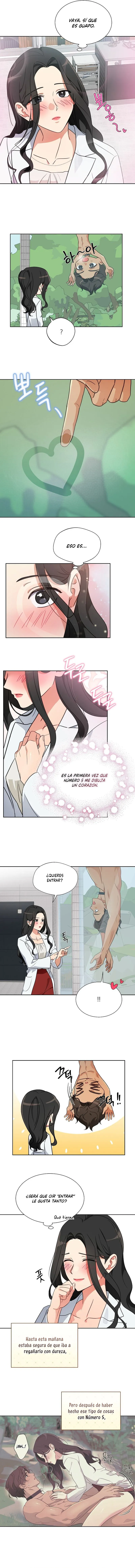 4 Los machos del cuarto de cría