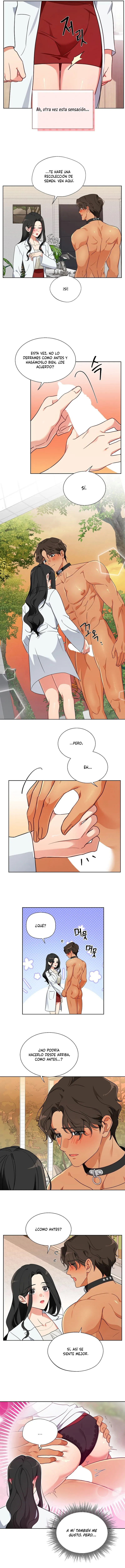 8 Los machos del cuarto de cría