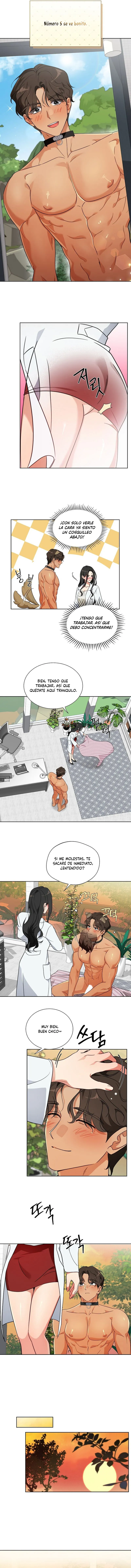 5 Los machos del cuarto de cría